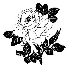 p029.gif (2914 bytes)