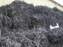 MDPE Hose, Production Capacity: 200 Tone per month, Origin: Australia, Available: 120 Tone